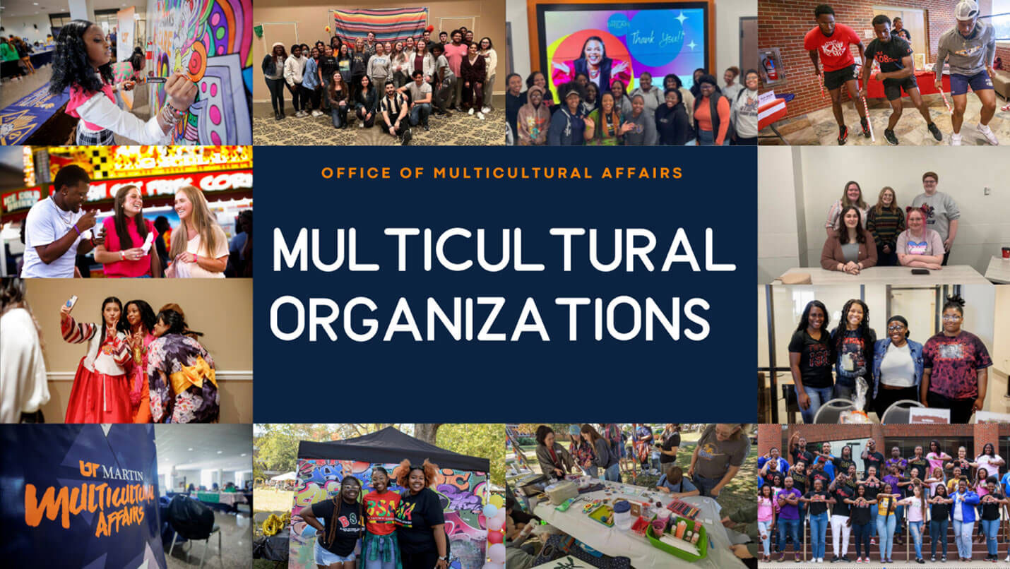 Multicultural Organizations logo